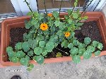 Photo 049.jpg