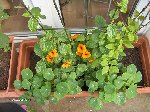 Photo 050.jpg