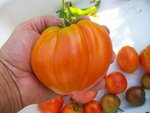 coeur220712.JPG