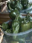 Copie de poivrons en vert.jpg