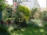 DSC00901.jpg