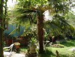 DSC00905.jpg