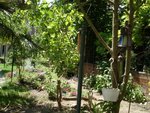 DSC00919.jpg