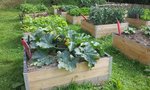 2012-07-24 16.45.19.jpg