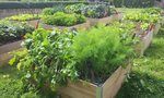 2012-07-24 16.46.15.jpg