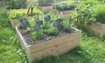2012-07-24 16.46.38.jpg