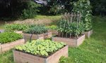2012-07-24 16.47.17.jpg
