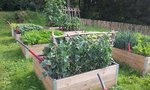2012-07-24 16.49.06.jpg
