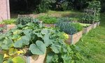 2012-07-24 16.50.40.jpg