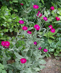 DSC01824.jpg