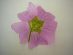 recto mode fleur.JPG