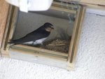 DSCN7852.JPG