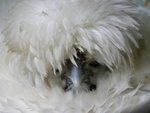 DSCN7866.JPG