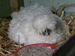 DSCN7867.JPG