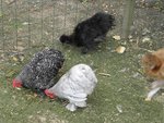 DSCN7868.JPG
