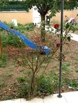 IMG_01121.jpg