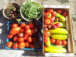 20120729_101057.jpg