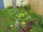 2k12_07_10_05.jpg