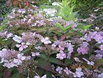 2012-07-30 1x.jpg