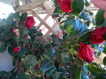 Le 30 mars 2012