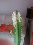 20120730_164748.jpg