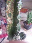 20120730_164802.jpg