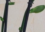 ipad 046 - Copie.JPG
