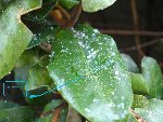 DSC04847.jpg