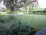le jardin se reveille !x.jpg