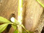 2012-08-03 001 002.JPG