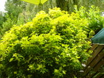 2012-08-03 001 004.JPG
