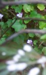 100_3395.JPG