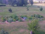 Jardin 2012 début Aout.jpg