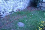 IMAG0501.jpg
