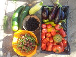 20120804_093050.jpg