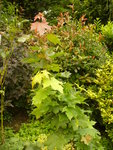 2012-08-04 001 001.JPG