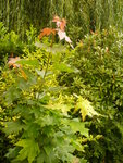 2012-08-04 001 002.JPG