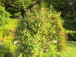 Photo 030.jpg