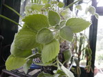 DSC01270.JPG