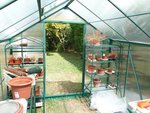 Les plantes carnivores déjà installées :)