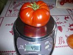 belle tomate.jpg