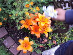 Photo 096.jpg