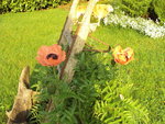 Photo 031.jpg