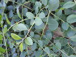 DSC01287.JPG