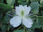 DSC01277.JPG