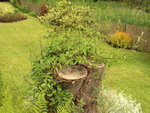 Photo 023.jpg