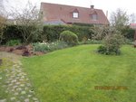 2012-04-07 1ère tonte + massif heuchères x.jpg