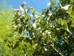P1000067.JPG
