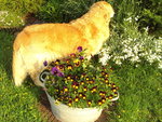 Photo 032.jpg