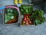 la récolte du jardin.jpg